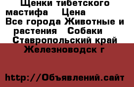 Щенки тибетского мастифа. › Цена ­ 30 000 - Все города Животные и растения » Собаки   . Ставропольский край,Железноводск г.